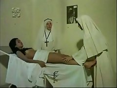 Având în vedere primitoare colegii