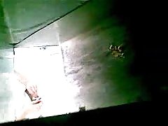 Îngrijită doamnă rece cu un tip